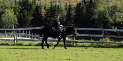 ranch_massif_du_sud_1