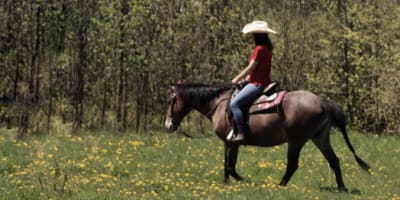 ranch_robert_1