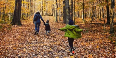 randonnees_en_nature____drummondville_et_ses_environs_1