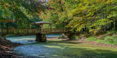 randonnees_en_plein_air_dans_le_region_de_nicolet_yamaska_1