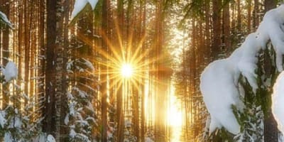 relaxation_et_nature_cet_hiver_en_petite_nation_1_h