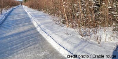 sentier_de_patinage_en_foret_de_lerable_rouge_1