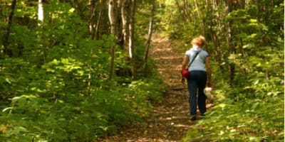 sentier_du_lac_imbeau_1