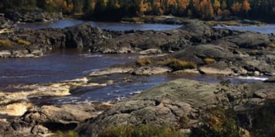 sentier_du_reseau_bell_nature_1
