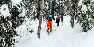 ski_de_fond_au_mont_grand_fonds_1_h
