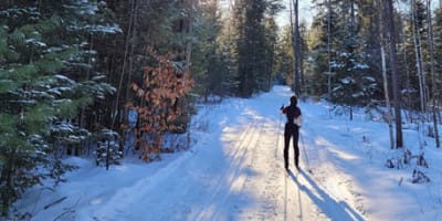 ski_de_fond_chez_ti_jean_1_h