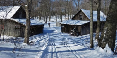 ski_de_fond_saint_francois_1_h