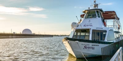 statera__croisiere_1