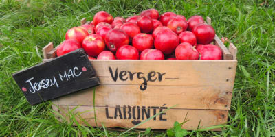 verger_labonte_1