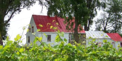 vignoble_bouche_art_1