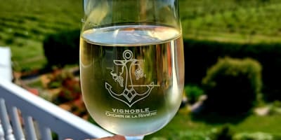 vignoble_chemin_de_la_riviere_1