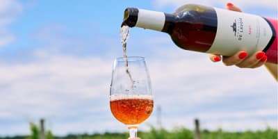 vignoble_de_lavoie_poitevin_1