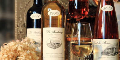 vignoble_du_faubourg_1
