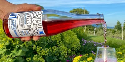 vignoble_et_cidrerie_coteau_rougemont_1