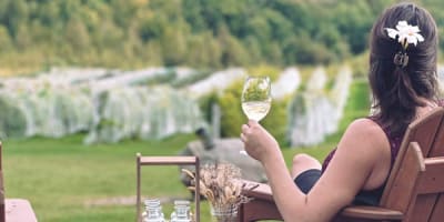 vignoble_les_cotes_du_gavet_1