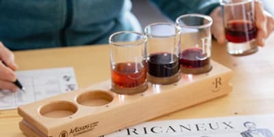 vin_artisanal_le_ricaneux_1
