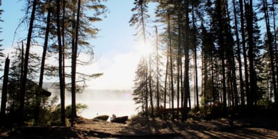 zec_lesueur_1