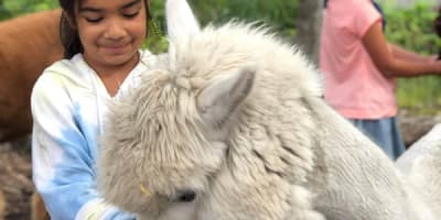 zoo_animation_estrie_1