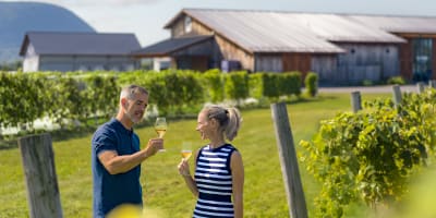 Dégustation de vin sur la route du richelieu