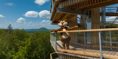 School Groups and Summer Camps at Sentier des cimes