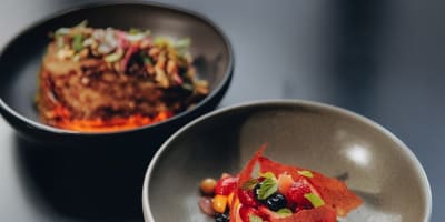 Strøm Spa Nordique : promotion restaurant