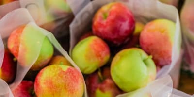 Verger Le Gros Pierre - Bags of apples