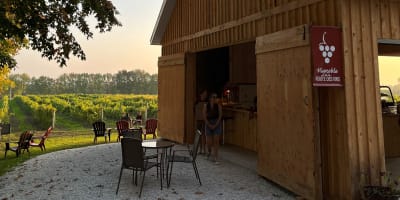 Vignoble Le Di-Vin