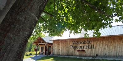 Vignoble Pigeon Hill