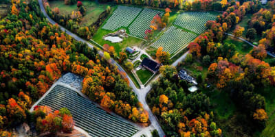 Vignoble Sugar Hill