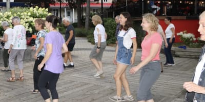 Danse en ligne