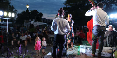 Spectacle musicien sur scène