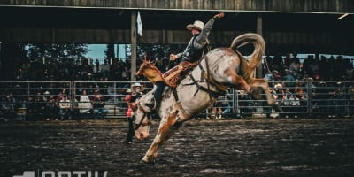 Equestrian rodeo