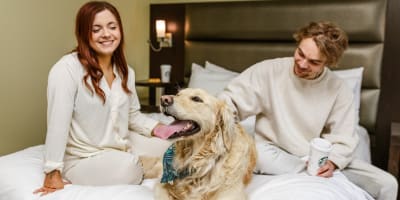 A couple with a dog at the Hotel Levesque.