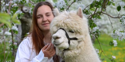 Alpagas du Domaine Poissant - Une femme et un alpaga