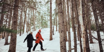 Two people are snowshoeing at the Arboretum de la Presqu’île Croft.