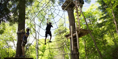 Spider web - Arbraska Chauveau. 