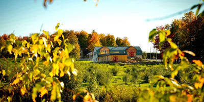 Bâtiment de l'Argouseraie Quénébro en automne.
