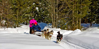 Traîneau à chiens Au Chalet en Bois Rond.