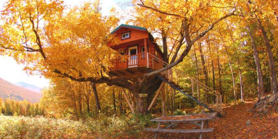 Treehouse at fall.