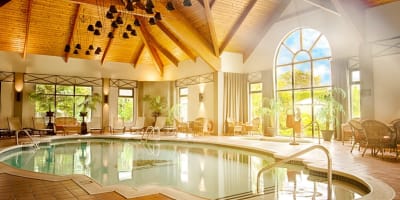 Bright indoor pool with a wooden ceiling.