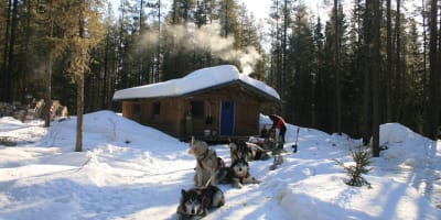 Traîneau à chiens à Aventuraid/Parc Mahikan.