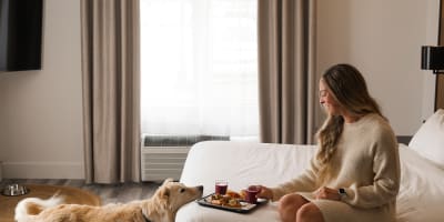 AX Hôtel Mont-Tremblant