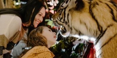 Animal exhibit at Bilodeau Canada.