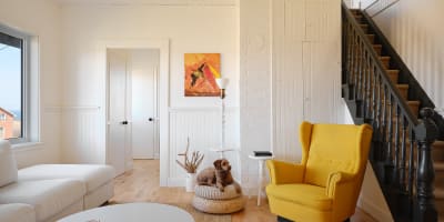 Blanche de l'Ouest - Living room with a dog