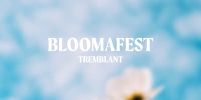 Affiche du festival BLOOMAFEST.