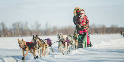 Dogsled with Bonjour Nature.