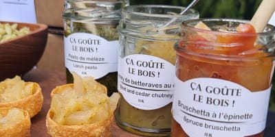 Ça goûte le bois!