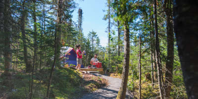 Camping rustique au Parc national des Monts-Valin.