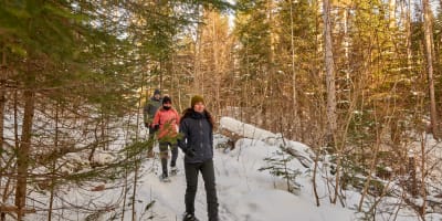 Three people snowshoeing in winter at La Mauricie National Park.