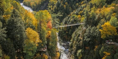 Pont suspendu en automne au Canyon Sainte-Anne.